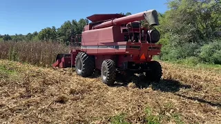 Totaled Combine, Day 7 of Corn 🌽 Harvest 2020