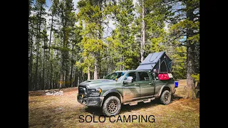 Naturnest From Amazon Update & Solo Overlanding