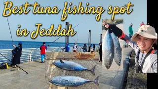 Best tuna fishing spot in Jeddah | Waway tv17 |#angler