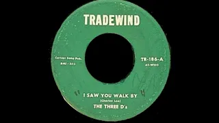 The Three D's - I Saw You Walk By (1959)