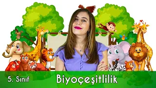 5. SINIF FEN BİLİMLERİ | BİYOÇEŞİTLİLİK (Animasyon)