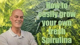 How to easily grow you own fresh Spirulina
