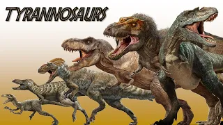 The 12 Different Types Of Tyrannosaurs