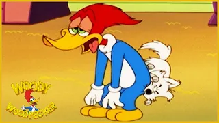 Woody Woodpecker Show | K-9 Woody | 1 Hour Woody Woodpecker Compilation | Videos For Kids