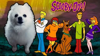 Scooby-Doo em cachorrês | NOSTALGIA
