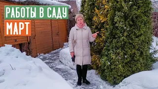 СЕЗОН 2020: ОСНОВНЫЕ РАБОТЫ В САДУ В МАРТЕ! О чем нельзя забыть? / Садовый гид