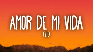 Feid - Amor De Mi Vida