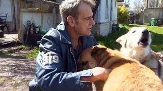 B.C. man reunited with dogs stolen outside grocery store