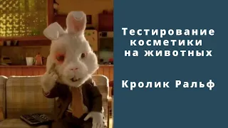 Тестирование косметики на животных. Кролик Ральф