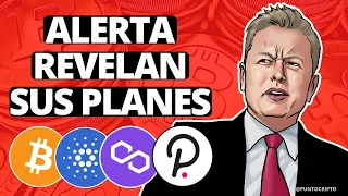 ✅ASÍ SERÁN LAS REGULACIONES😱Noticias Criptomonedas (HOY) Cardano BTC Polygon DOT SHIBA INU ETH XRP