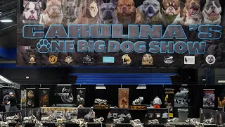 BULLY TALK WITH ZEB PITS PRESENTS: ONE BIG DOG SHOW