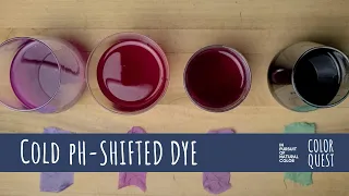 HOW TO COLD pH SHIFT NATURAL DYE COLOR | ORGANIC COLOR | PURPLE PINK GREEN