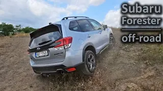 2023 Subaru Forester e-Boxer | light off-road