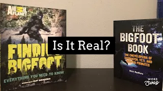 Is It Real? | Paul Freeman Bigfoot Footage