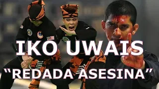 Entrenaban en CEMENTERIOS💀 PENCAK SILAT EL LETAL arte marcial de Iko Uwais