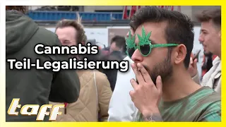 Grünes Licht für Cannabis! Wie denken die Deutschen über das Umstrittenes Gesetz?