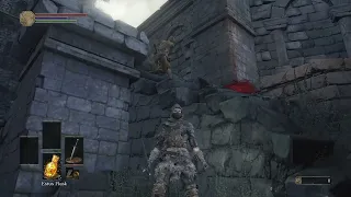 Dark souls 3 how to beat early game sword master.