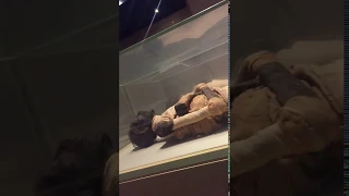 Firaun's (Pharaoh) Dead Body (Mummy) at Egyptian Museum