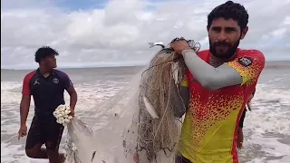 CARDUMES DE TAINHA NA PRAIA DA RAPOSA. SERENO E MUITAS ONDAS NA CAPTURAR.