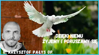 Dzięki Niemu żyjemy i poruszamy się. o. Krzysztof Pałys OP