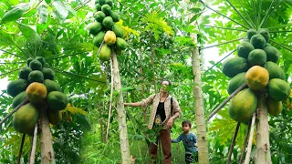 Family farm - Results from the farm, papaya harvest and vegetable garden,Going to the market to sell