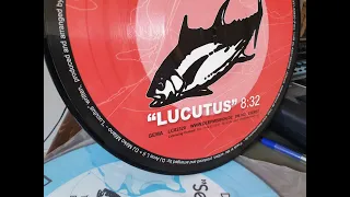 DJ Arne L II  Lucutus (Official Audio)