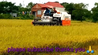 Fantastic Techniques Operator Kubota 70plusCombine Harvester Working In Deep Water At Rice Farms#2 4