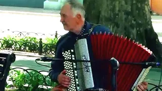 Хава нагила на баяне, Одесса  / Hava Nagila, Button Accordion, Odessa