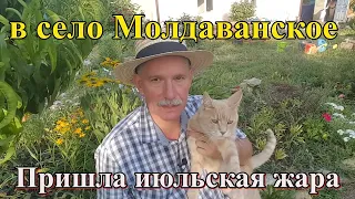 #330 Июльская жара пришла в село Молдаванское/переезд из Латвии в Россию/жизнь в деревне/Орсо и Соня