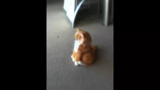 funny cat that sings the gummy bear song