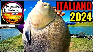 PESQUEIRO DO ITALIANO 2024 DICA FATAL!! PESCARIA INSANA EM ESTIVA GERBI, PEIXE GRANDE É AQUI