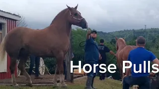 Horse Pulls