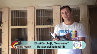 Elisei Eacobuță, „Fenomenul” Maratonului Național (II)