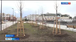 На Красной площади Чебоксар высадят еще 4,5 тысячи кустарников