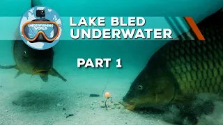 UnderFishing World films UNDERWATER at Lake Bled!