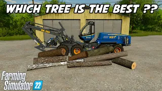 Which Tree Makes The Most Money | Farming Simulator 22