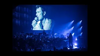 Johnny Hallyday - Sur ma vie (Version symphonique) (+ Paroles) (yanjerdu26)