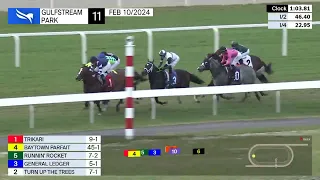 Gulfstream Park Carrera 11 - 10 de Febrero 2024