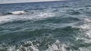 Mermaid In The Ocean ?look Closely As I Zoom in -St mary Jamaica  look What Happens