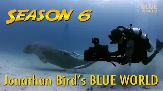 Season 6 Highlights | JONATHAN BIRD'S BLUE WORLD Extra