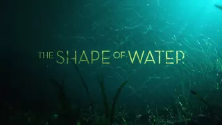 Soundtrack The Shape of Water (Theme Song - Epic Music) - Musique film La Forme de l'eau (2017)