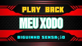 Meu Xodó - Play Back - Biguinho Sensação 🎹🎶