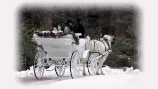 Grigoris Bithikotsis Ena Amaxi Me Dyo Aloga -  A beautiful carriage with two horses©