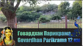 Говардхан Парикрама Govardhan Parikrama 12 км 2022