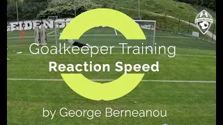 Goalkeeper Training ●  Reaction Speed © 4GK