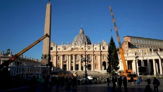 L'Abete di Natale in Vaticano è un dono della Slovenia