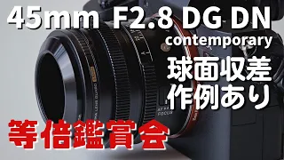 α7c SIGMA  45mm F2.8 DG DNの球面収差を等倍で確認!!  解像力はどうでしょう!?   【 カメラ レンズ  α7Ⅳ α7Ⅲ】