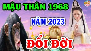 Tử Vi 2023 - Tuổi Mậu Thân 1968 Nam Mạng, Sẽ Ra Sao MAY MẮN Giàu Có Hay Vận Hạn Thế Nào?