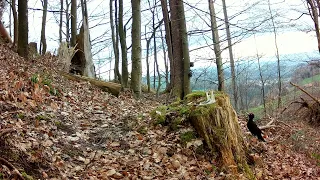 Überraschungen im Frühling