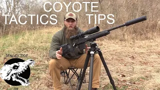 Coyote Hunting Tips/Tactics: Be More Successful